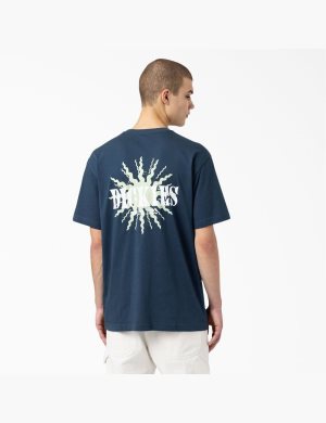 Tričko Dickies Kelso Grafická Blankyt | WMETHDL-09