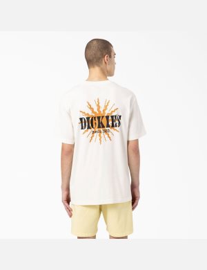 Tričko Dickies Kelso Grafická Béžový | ABZSCGR-86