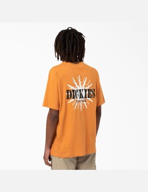Tričko Dickies Kelso Grafická Zlaté | DOWMTGH-71