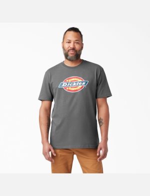 Tričko Dickies Logo Grafická Šedé | ABPWHRZ-74