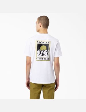 Tričko Dickies Pacific Grafická Bílé | OCSURVI-48