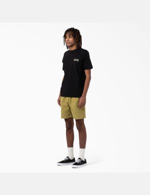 Tričko Dickies Pacific Grafická Černé | TGBHINY-43