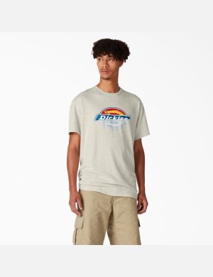 Tričko Dickies Skateboarding Distressed OG Grafická Béžový | AZIDPQM-49
