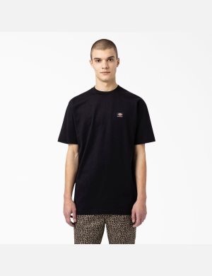 Tričko Dickies Skateboarding Mount Vista Černé | ISDVABN-81