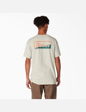Tričko Dickies Skateboarding Split Grafická Béžový | SCNOQUA-20